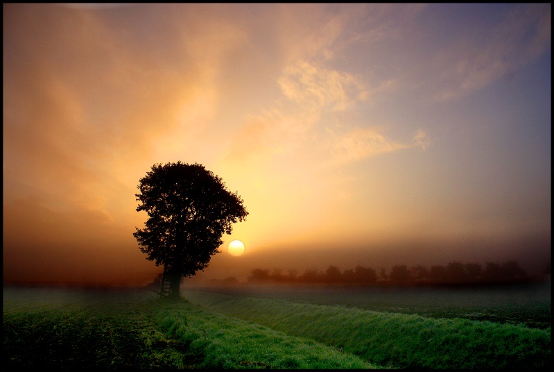 frühes Licht