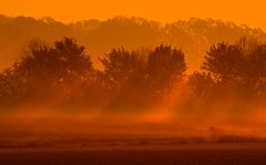 Frühes Morgenlicht