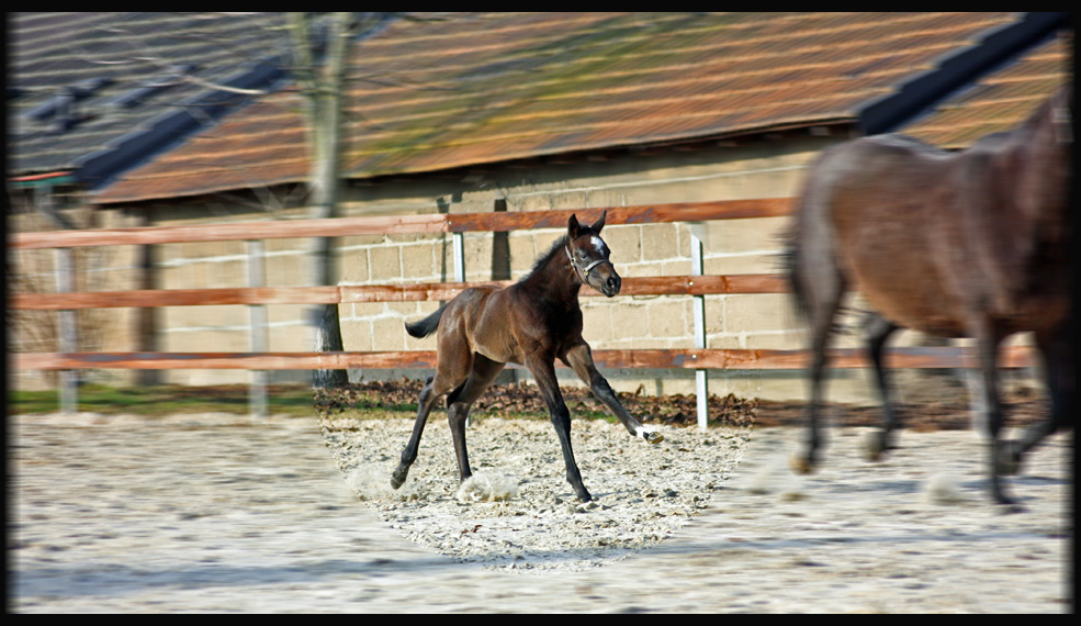 Frühes Training