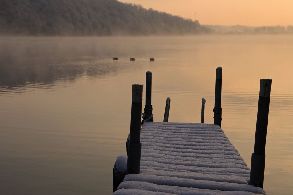 frühes Wintererwachen von Seb-Foto 