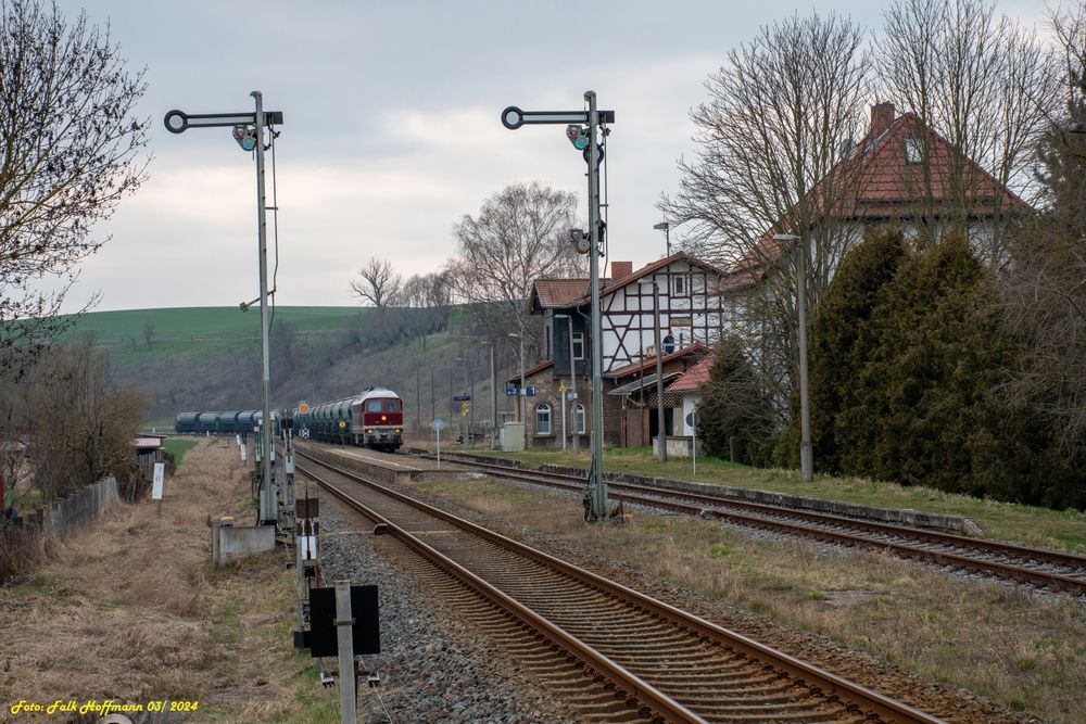 Frühhalt