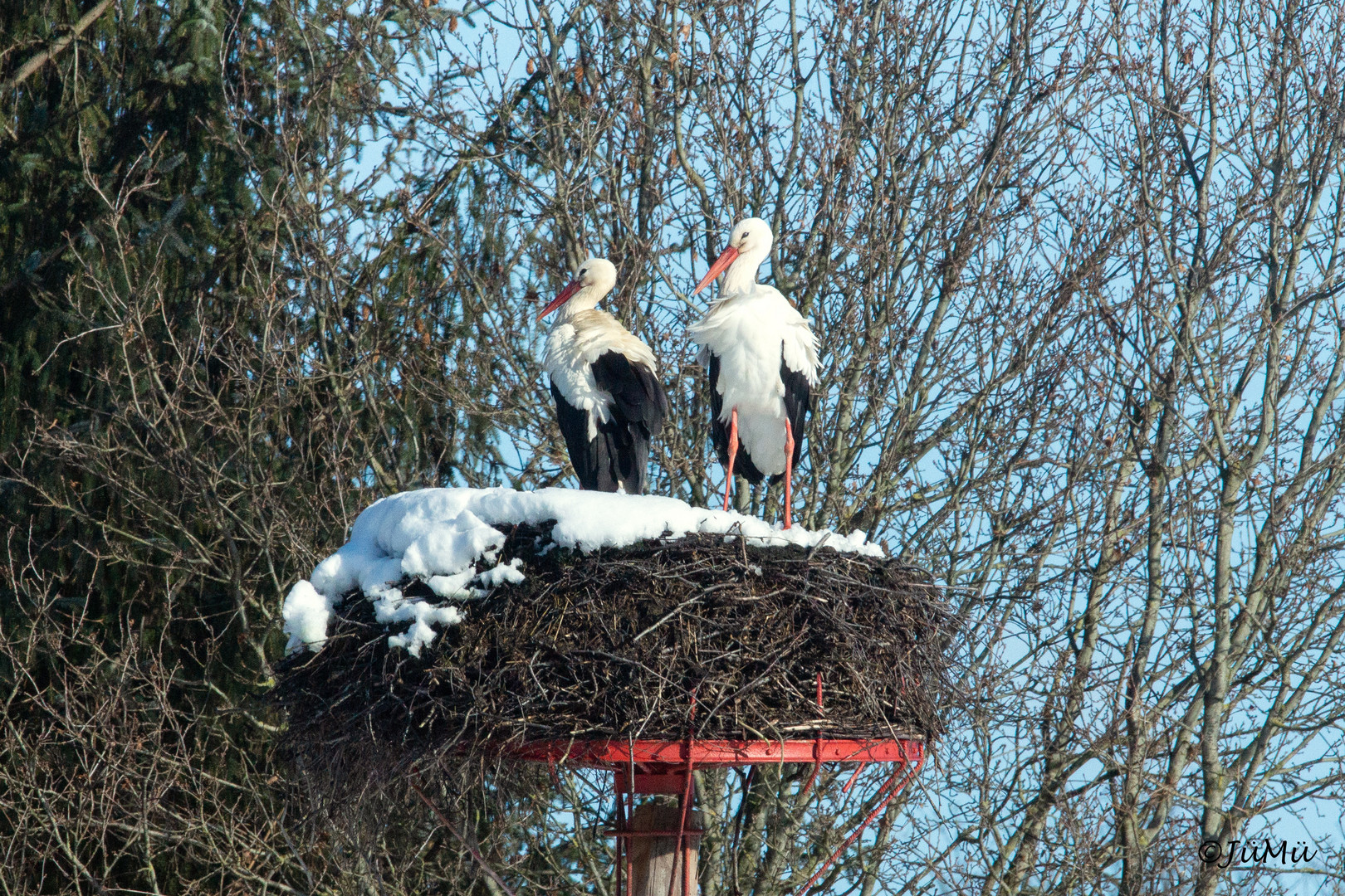 Frühheimkehrer