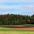 Frühherbistliche Landschaft 2