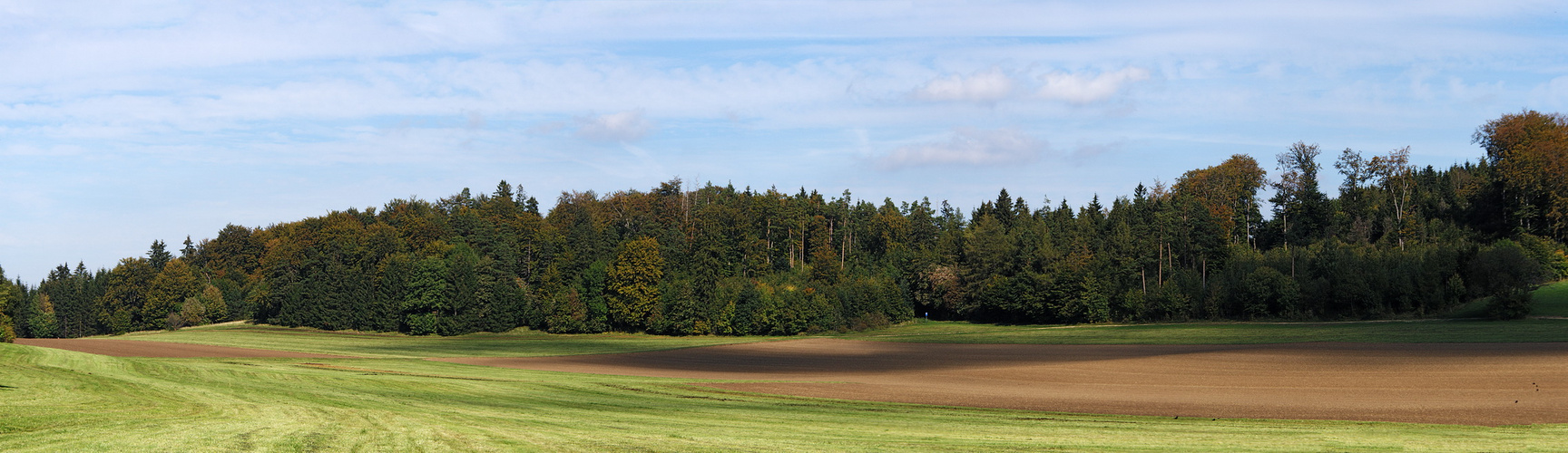 Frühherbistliche Landschaft 2