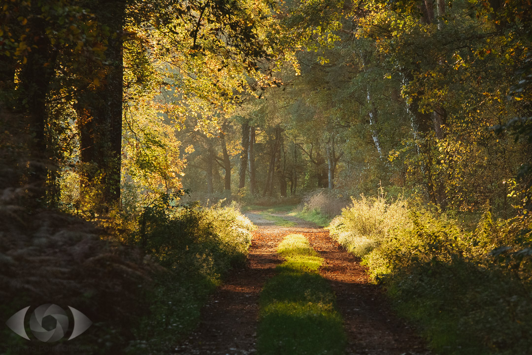 Frühherbst