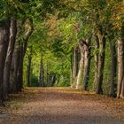 Frühherbst