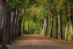 Frühherbst