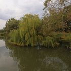 Frühherbst am Dowesee