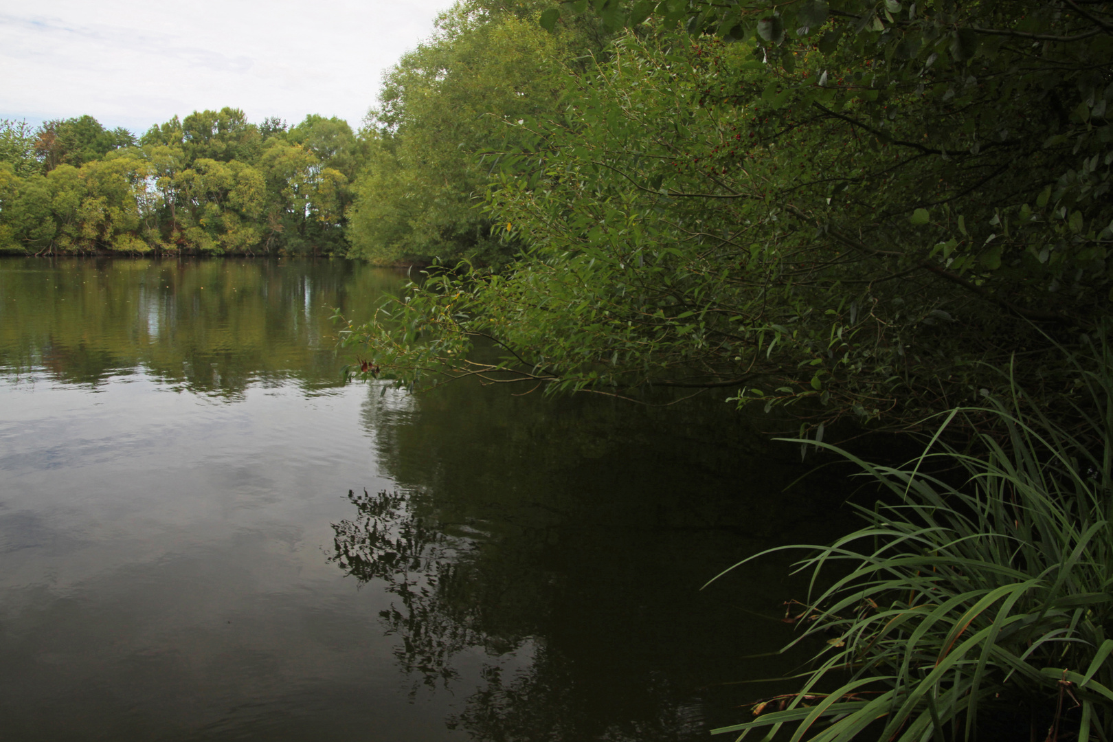 Frühherbst am Fischteich