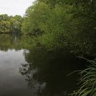 Frühherbst am Fischteich