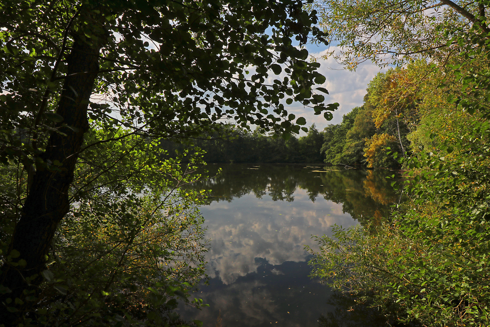 Frühherbst am Kennelteich