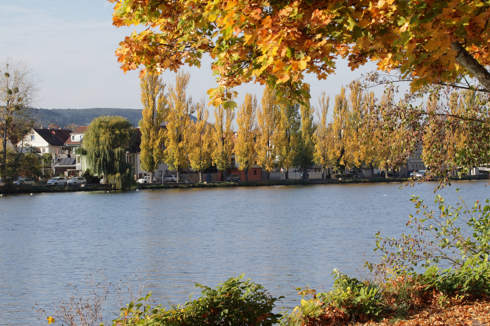 Frühherbst am Main