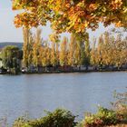 Frühherbst am Main