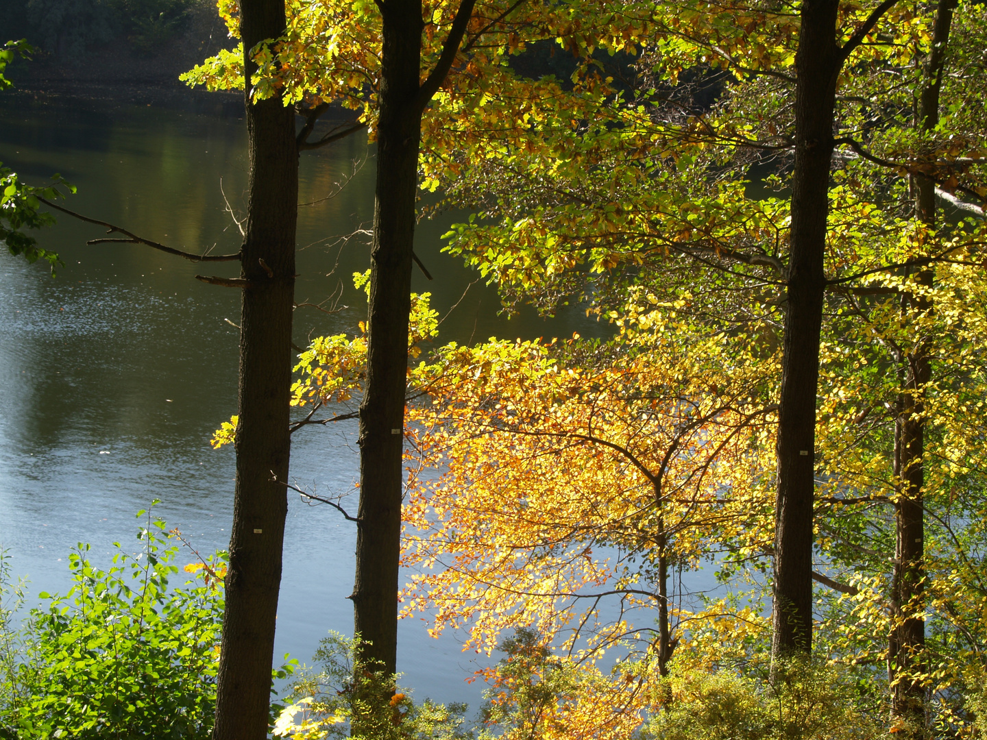 Frühherbst am Plötzensee