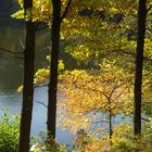 Frühherbst am Plötzensee