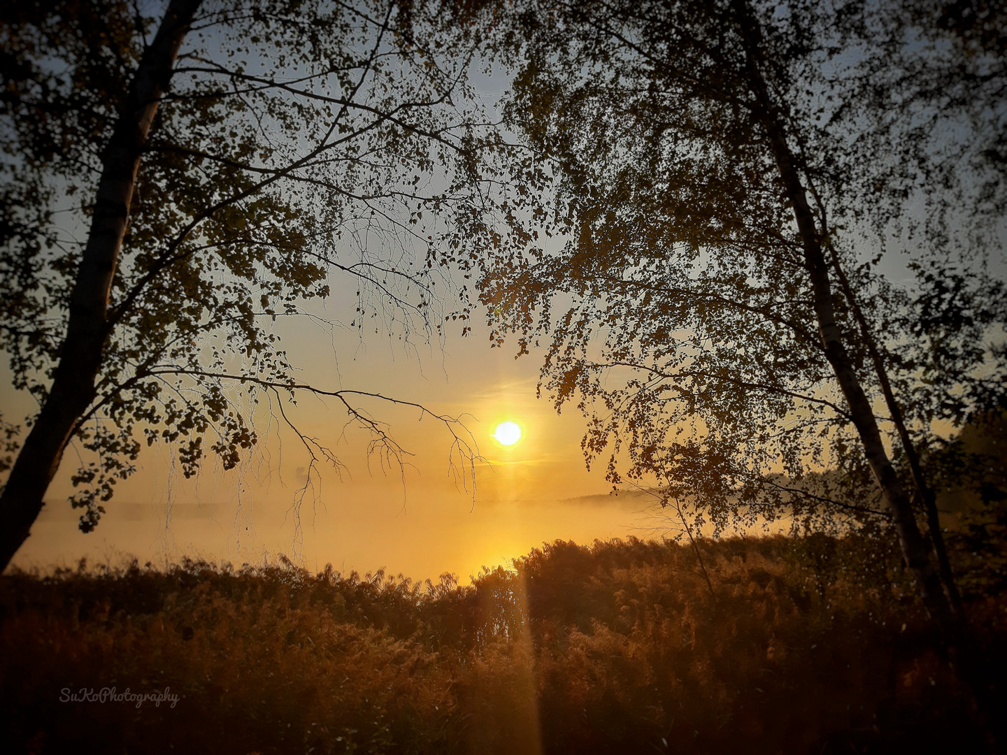 Frühherbst am Senftenberger See