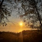 Frühherbst am Senftenberger See