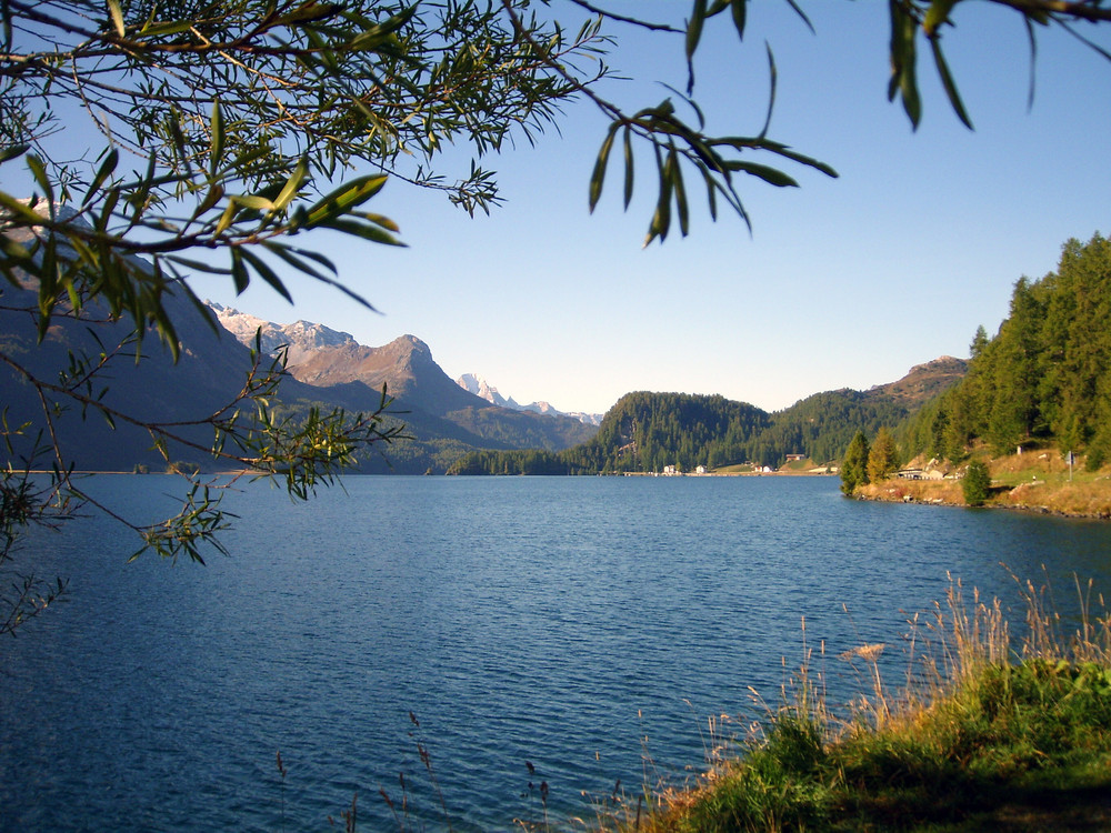 Frühherbst am Silser See