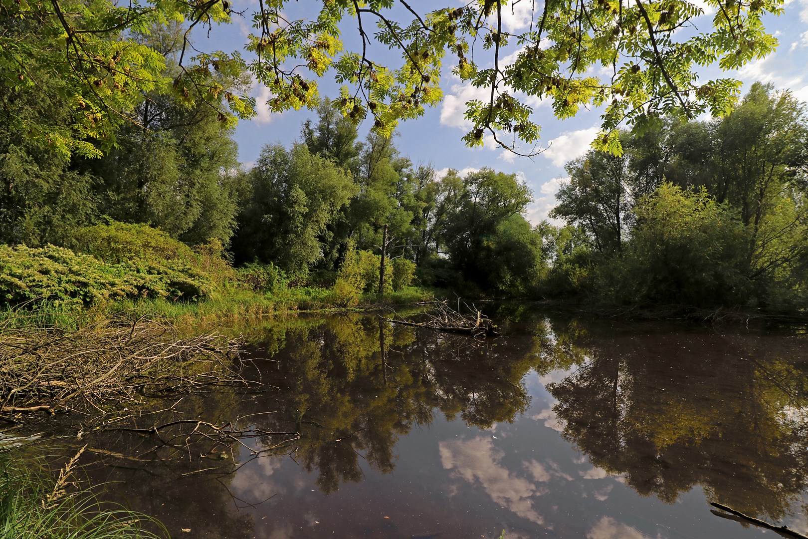 Frühherbst am Teich