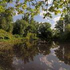 Frühherbst am Teich