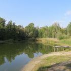 Frühherbst am Teich...