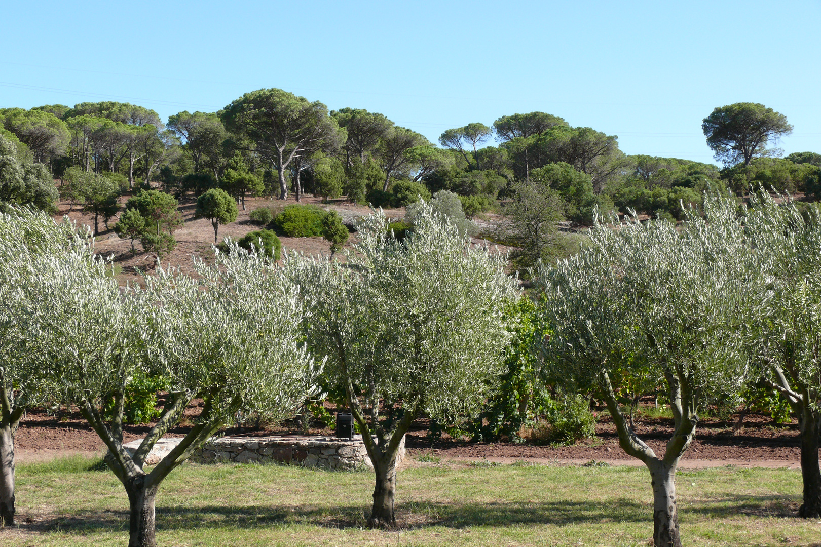 Frühherbst an der Côte d'Azur