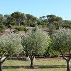 Frühherbst an der Côte d'Azur