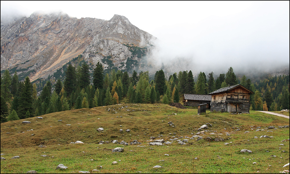 Frühherbst auf der Alm ...