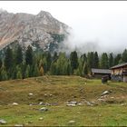 Frühherbst auf der Alm ...