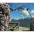 Frühherbst auf der Schwemmalm / Ultental Südtirol