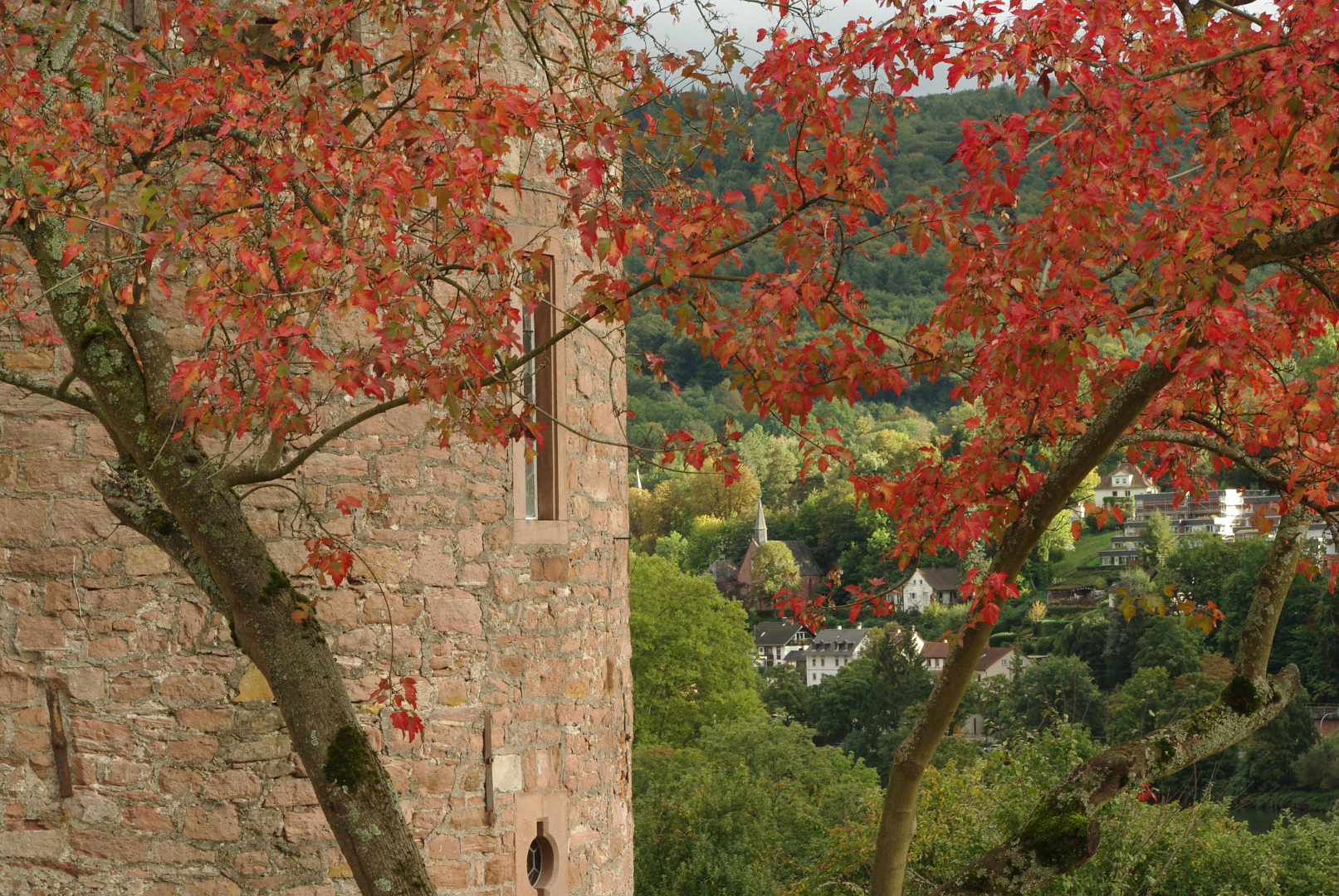 Frühherbst auf Stift Neuburg