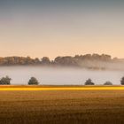 Frühherbst 