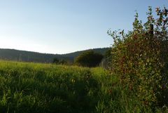 Frühherbst