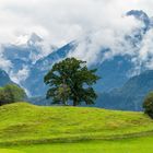 Frühherbst im Allgäu