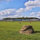 Frühherbst im Egerland