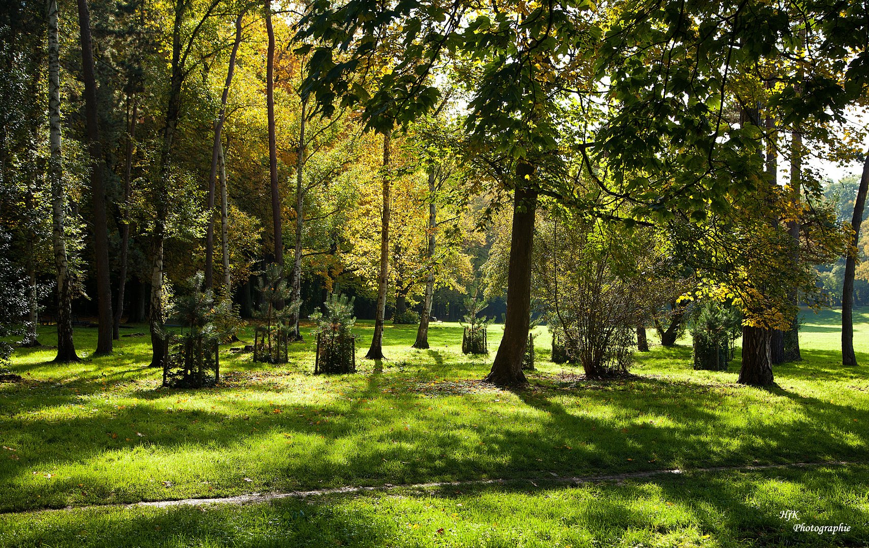 Frühherbst im Kölner Stadtwald