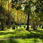 Frühherbst im Kölner Stadtwald