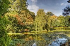 Frühherbst im Park