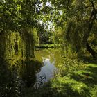 Frühherbst im Park