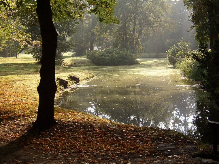 Frühherbst im Park Ludwigslust