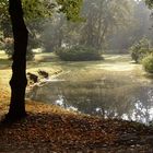 Frühherbst im Park Ludwigslust