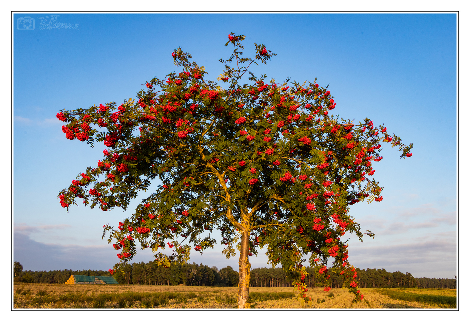 Frühherbst im Wendland #1