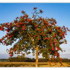 Frühherbst im Wendland #1