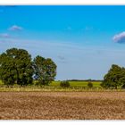 Frühherbst im Wendland #3