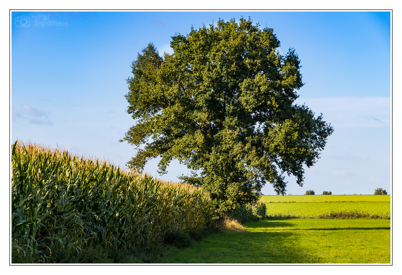 Frühherbst im Wendland #4