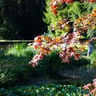 Frühherbst im Wenkenpark