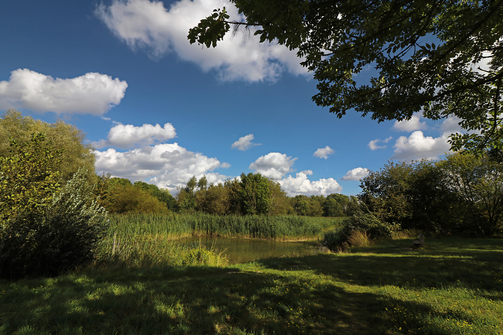 Frühherbst im Westpark