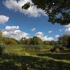 Frühherbst im Westpark