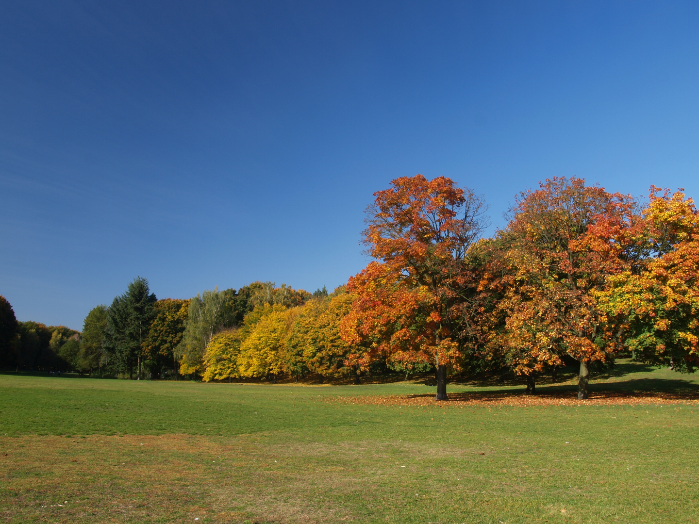 Frühherbst in den Rehbergen