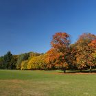 Frühherbst in den Rehbergen